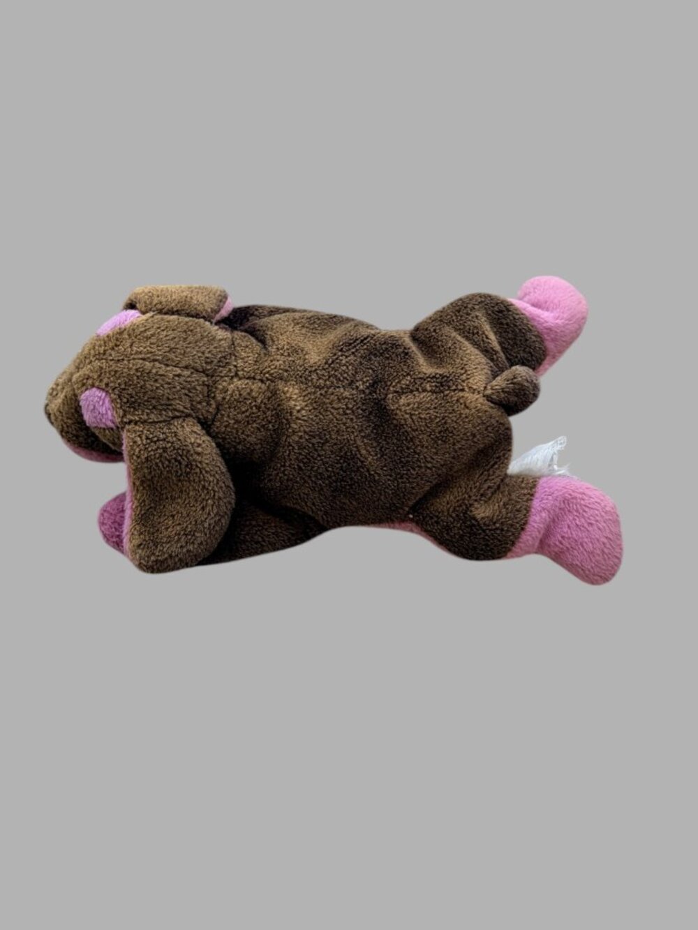 Dan Dee Brown Puppy Dog Plush Pink Paws Floppy Ears Stuffed Animal Soft Toy Love - Picture 3 of 7